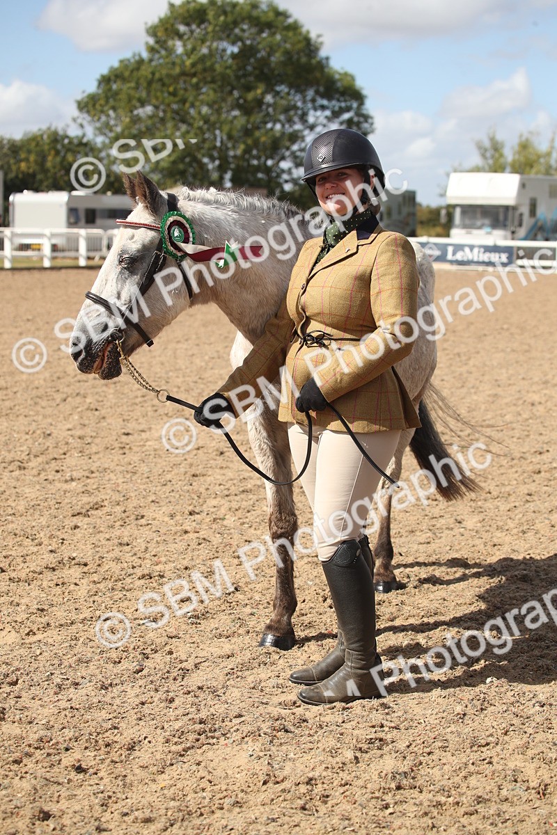 SBM_23489 - Class 604 - 2026 - Area IH Diamond