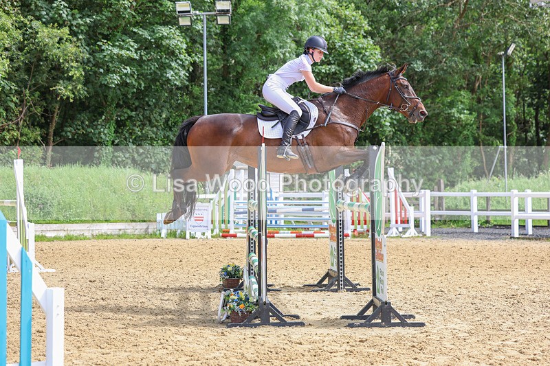 3E7A7528 - Class 9: Senior Foxhunter/1.20 open
