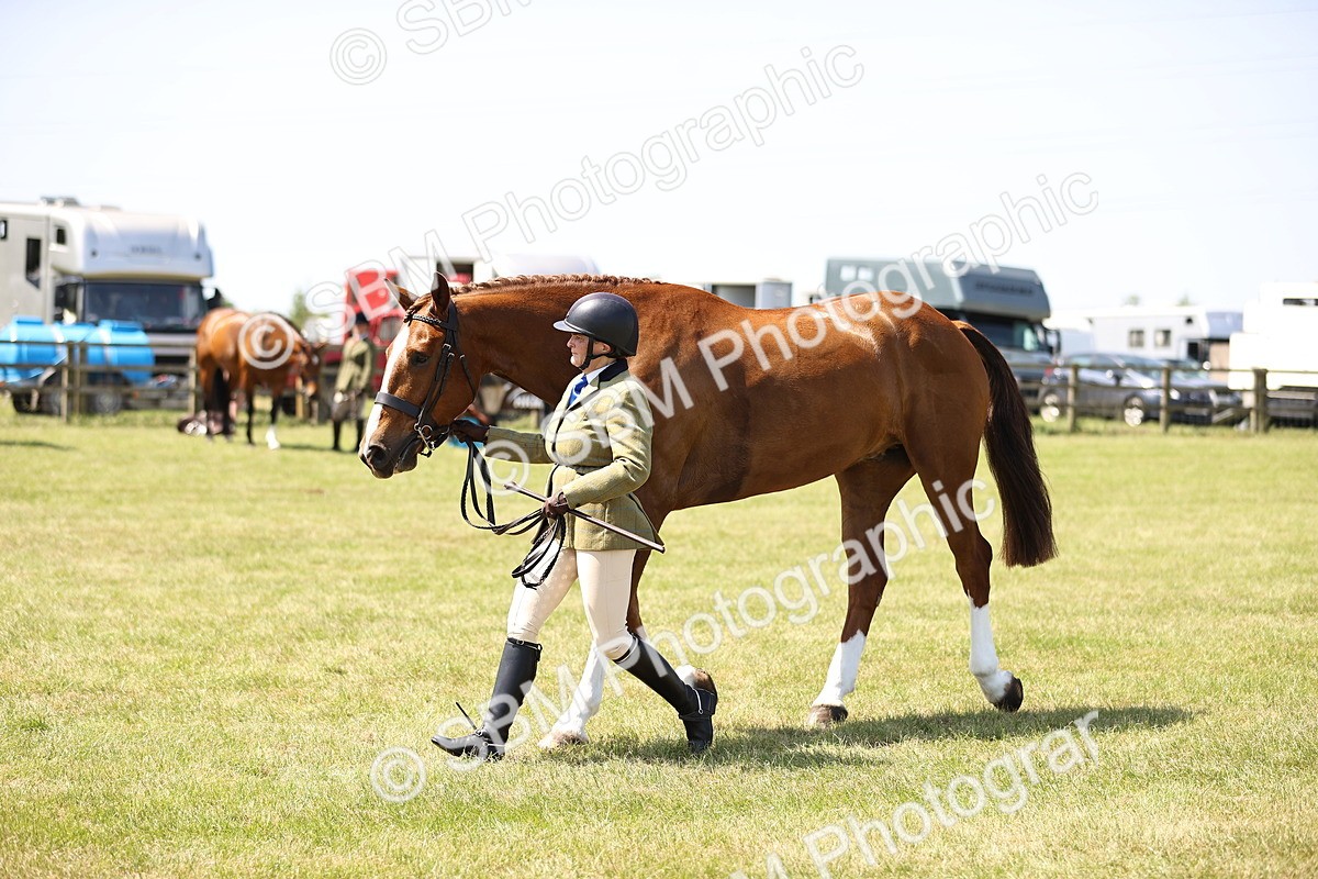 SBM_15193 - Class 79-80 - LIHS BSHA Rising Star Ridden Hunter