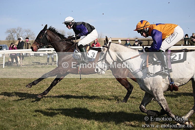 PtP 240218 381 - Vine & Craven Hunt Point-to-Point Barbury racecourse 24/02/18