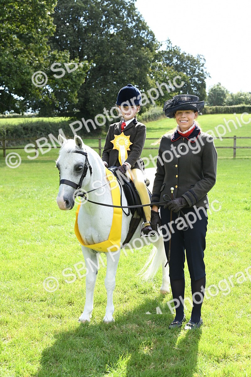 SBM_42636 - S20 - Lead Rein Mountain & Moorland Pony