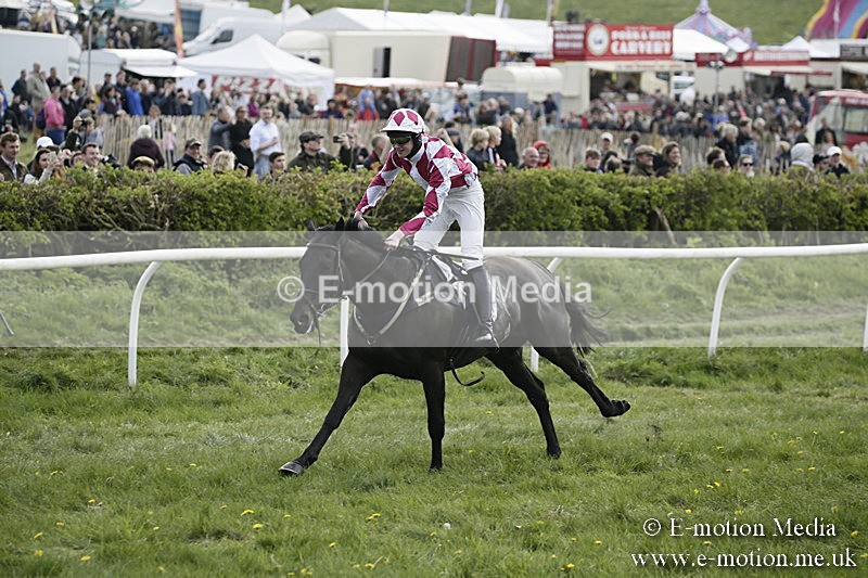 PtP 170417 361 - Old Berks Point-to-Point Lockinge 17/04/17