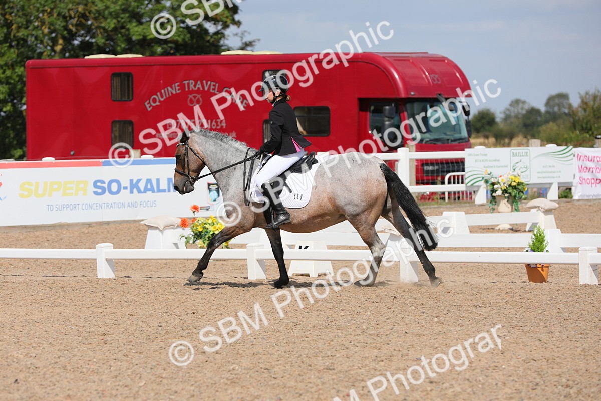 SBM_04002 - Class 31 Prelim 1