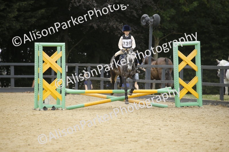 20250622-6203 - 60cm