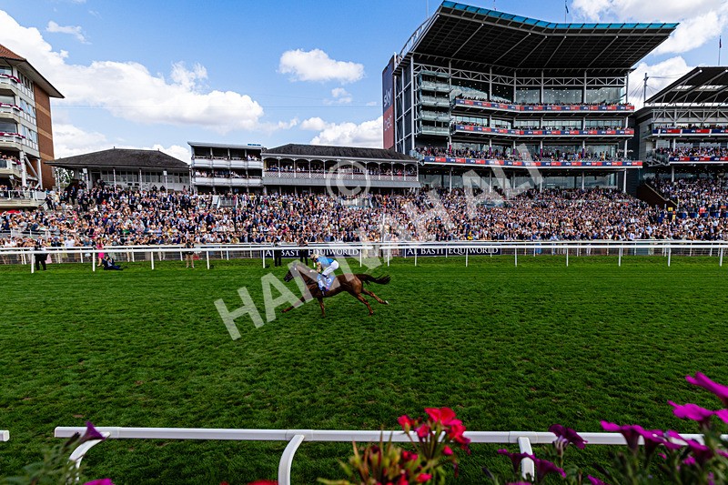 220826-Race 1-Archivist-0197 - Race 1 13.50pm Sky Bet Strensall Stakes