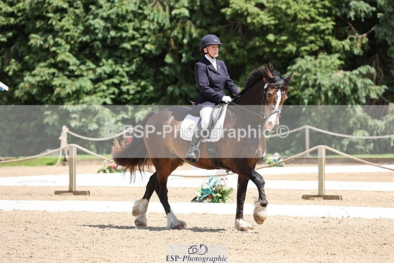 240721-133109-08824 - 176-Amanda_Williams-Llanarth_Westminster