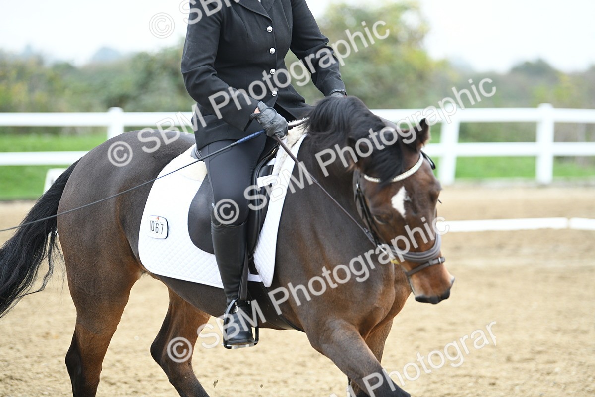 LAD_3952 - Novice Test 2