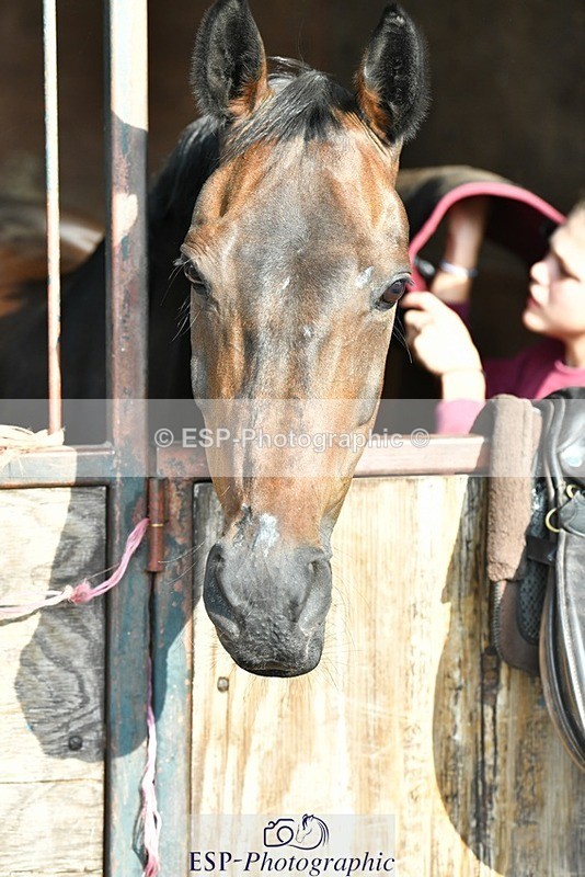 230817-082931-02399 - Stable Shots