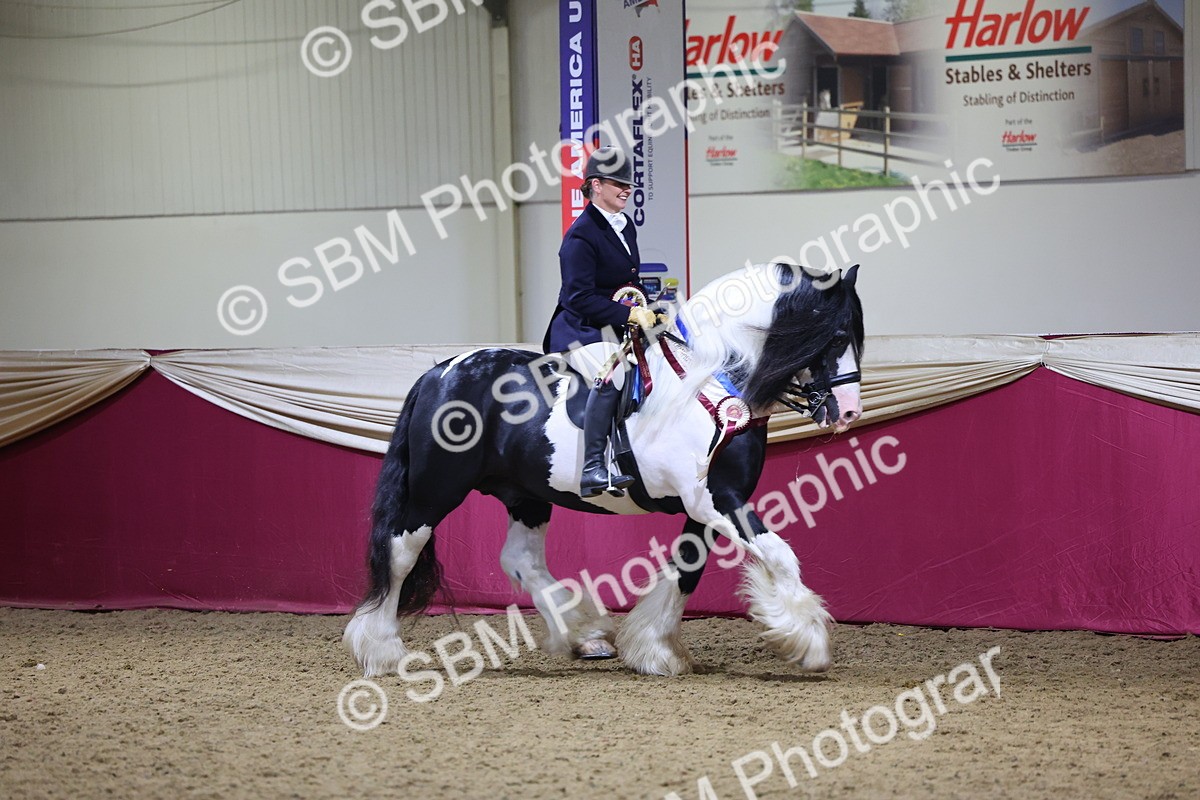 SBM_19248 - Class J Coloured Champ