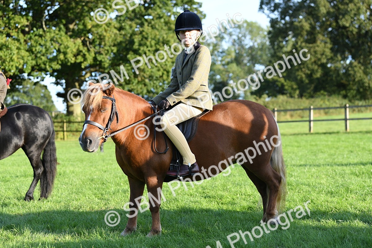 SBM_54120 - S23 - 1st Ridden Mountain & Moorland Pony