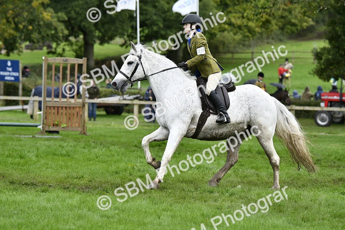 SBM_42262 - S32 - Mountain & Moorland Working Hunter Pony