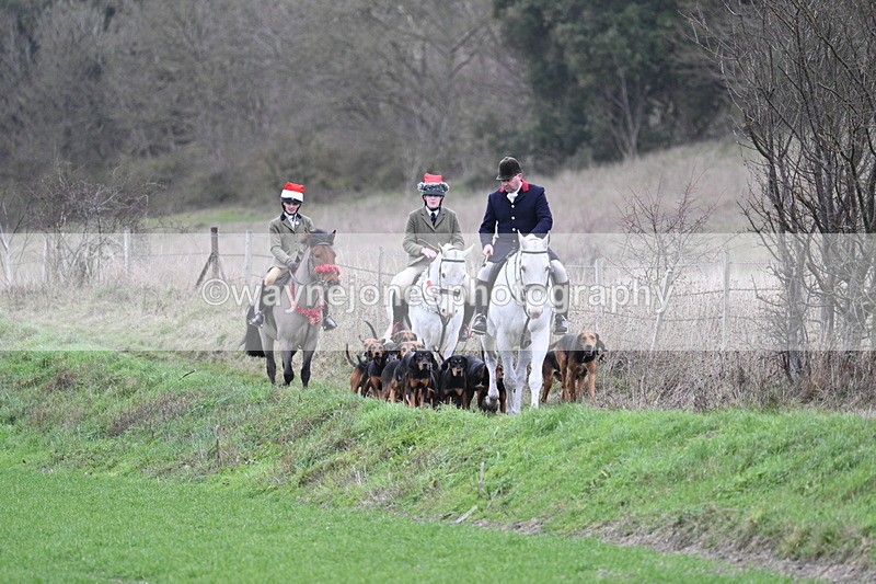 WJ7_0787 - First Seen