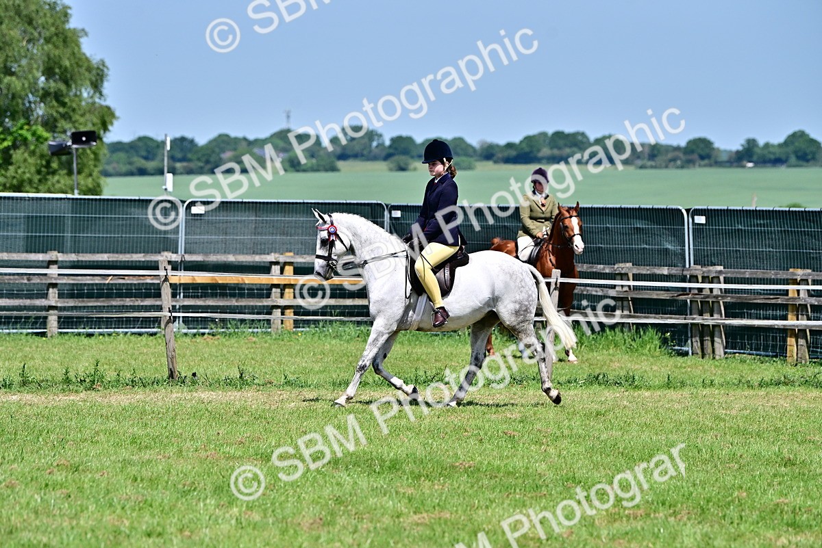 SBM_15375 - Class 95-97 - BSPS LHS Performance Ponies