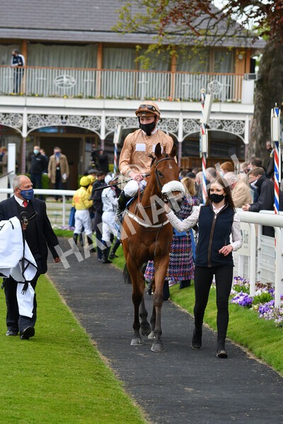 yr14052021r1-36 - Race 1 1.40pm Langleys Solicitors British EBF Marygate Fillies' Stakes