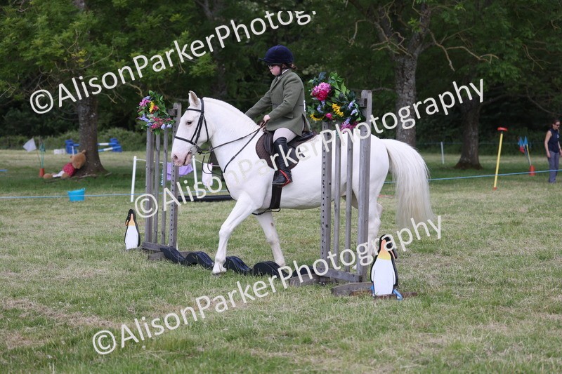 20260614-0774 - Class 20 - Beginners Working Hunter Pony