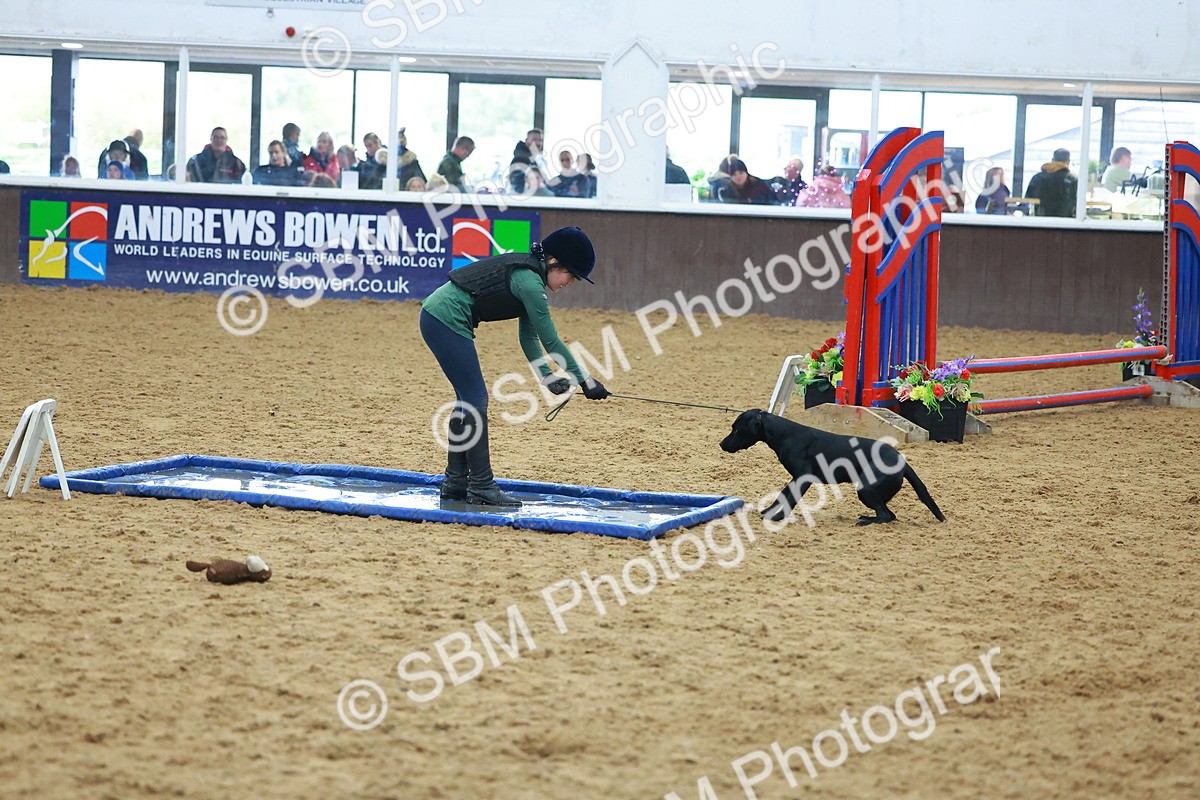 SBM_002423 - Class 3 - Horse & Hound (60cm)