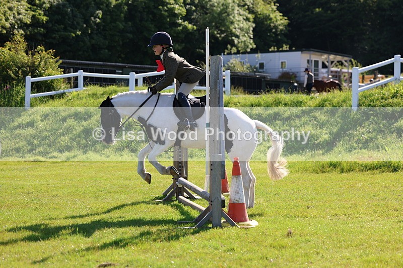 3E7A5893 - Class 27: Novice Working Hunter Pony