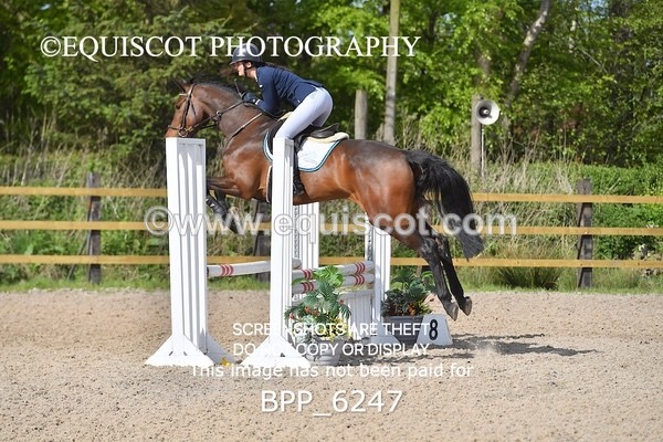 BPP_6247 - CLASS 32 MON Club/ Unaffiliated 80cms Open