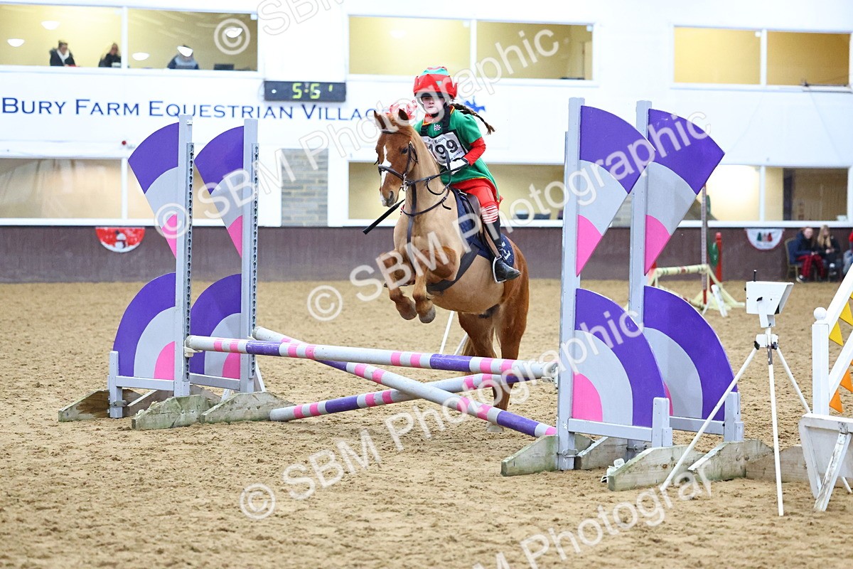 SBM_001440 - Class 3 - Christmas Tree Stakes - 60cm