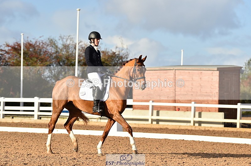 231104A-134848-01919 - Cls 10 Medium 61