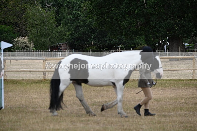 WJ6_7835 - Class 10 Coloured in Hand