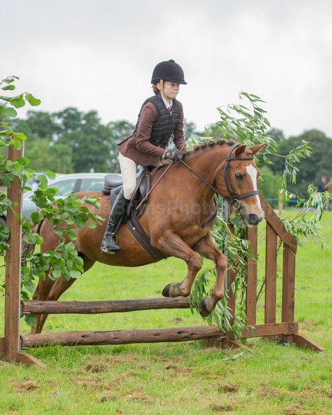 Dunblane show-113 - Dunblane and Doune Show Ring 1