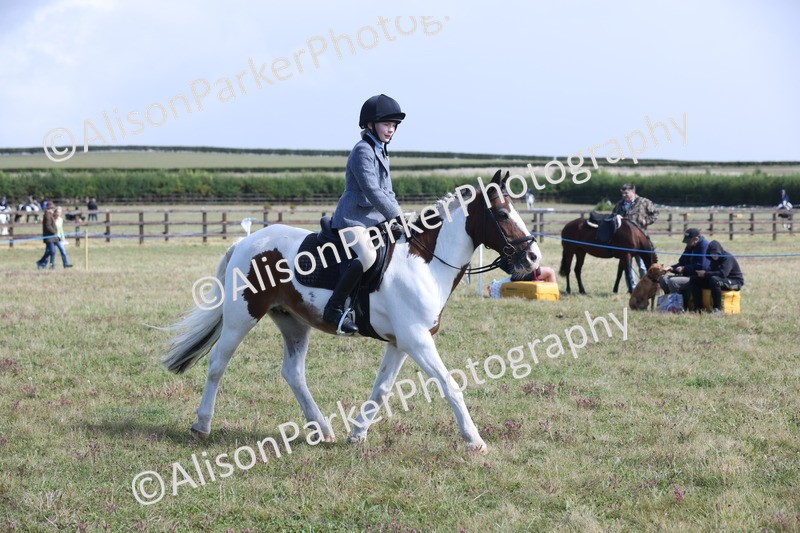 20250831-2472 - Class 16 - Family Pony