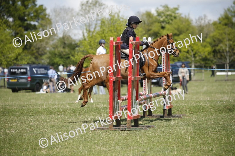 20250427-3493 - Class 14 - Absolute Novice 70cm