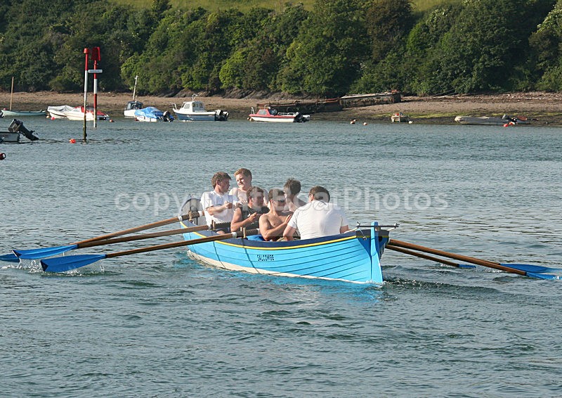 060616 SALCOMBE ROWERS WOLF IMG_9312 - 2006 Photos