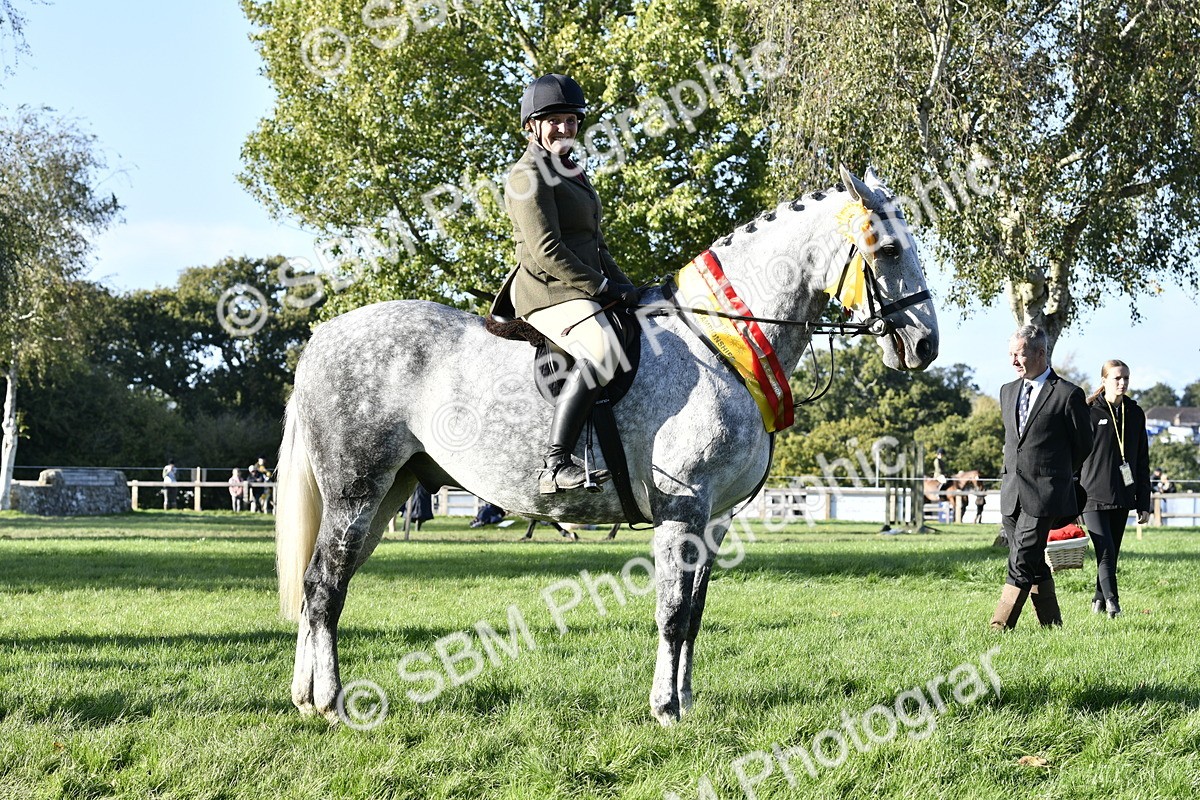 SBM_51736 - Working Hunter Supreme Championship