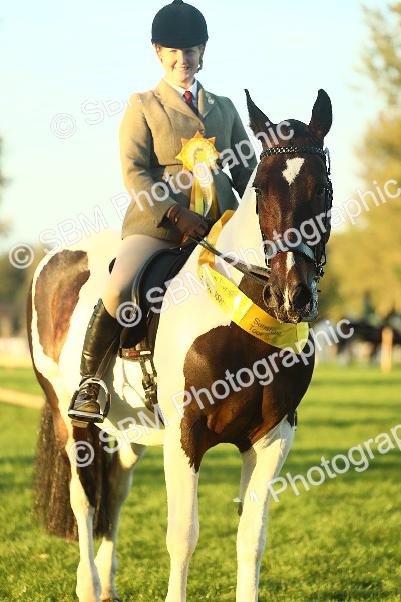 SBM_56527 - S14 - Riding Club Horse