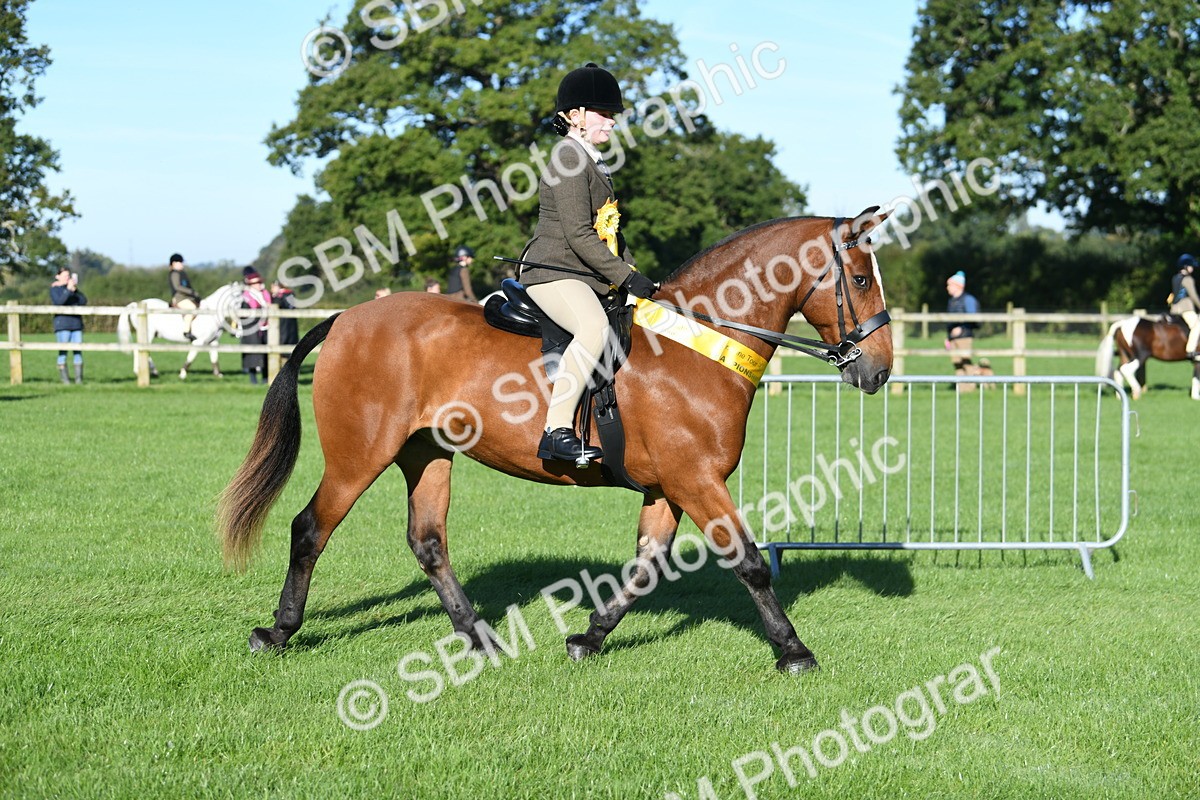 SBM_34138 - S16 - Condition & Turnout - Ridden