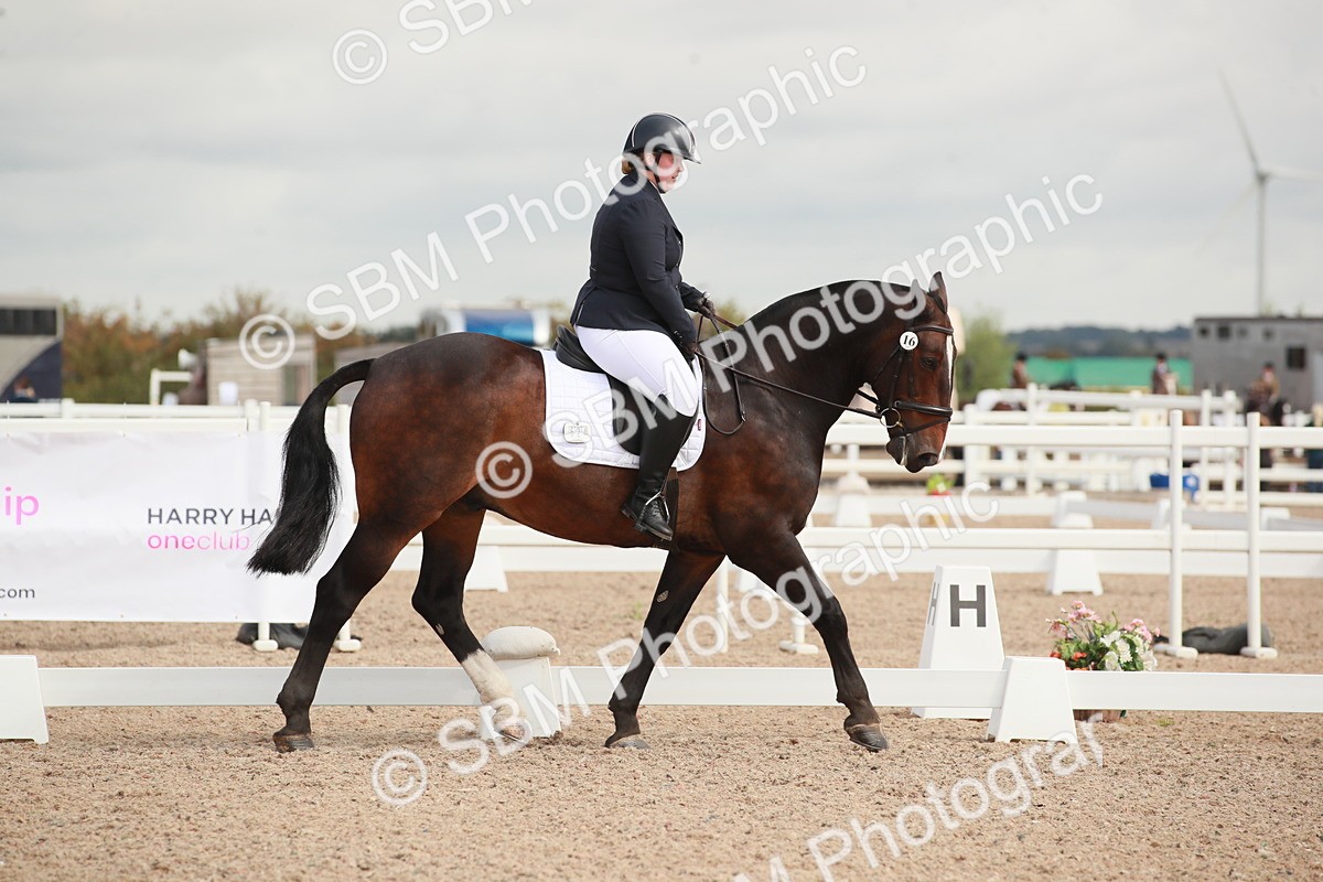 SBM_03859 - Class 31 - Prelim 1