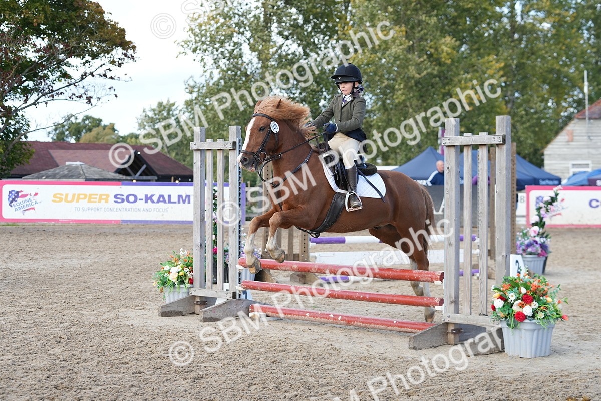 SBM_46743 - J7 - Junior Pony 60cm Championship