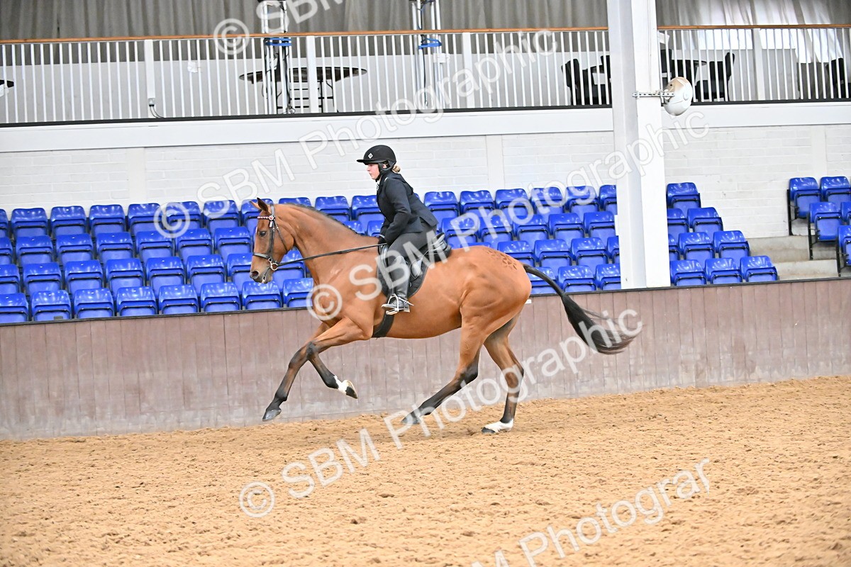 SBM_001948 - Class 25 - Tattersalls ROR Amateur Ridden