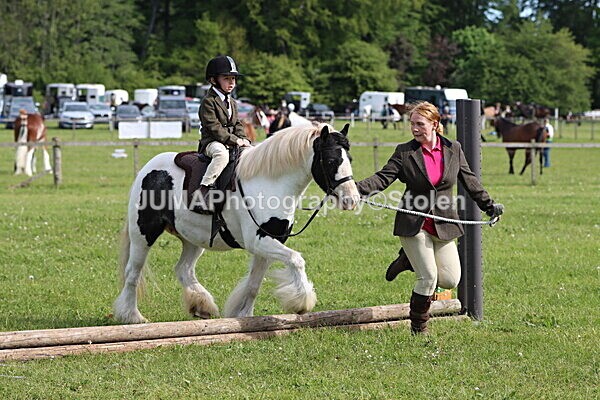 IMG_2191 - Working Hunter