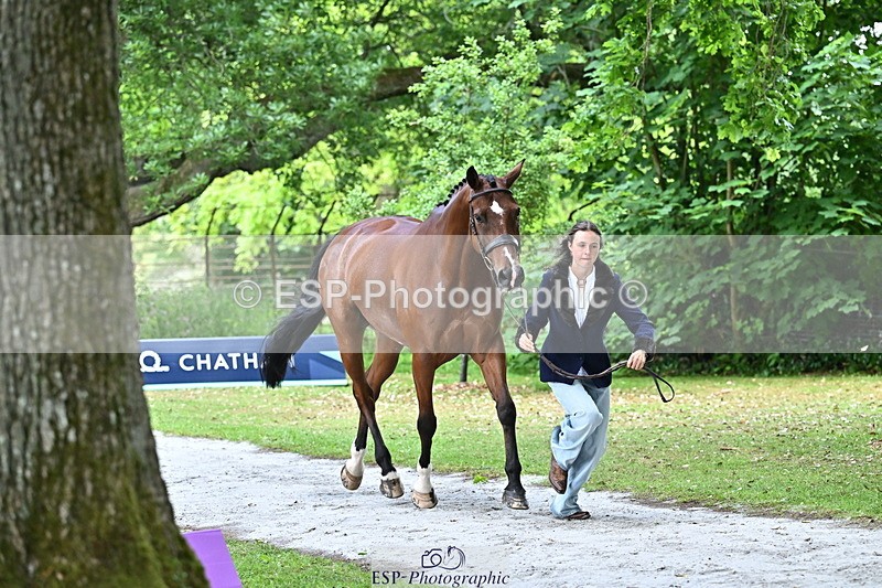 250521A-143544-00104 - A-009-Clementine.Crosthwaite.Eyre-LYJADOR