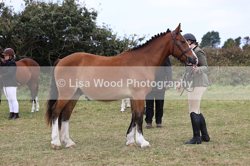 3E7A4195 - Class 15: Two Year Olds