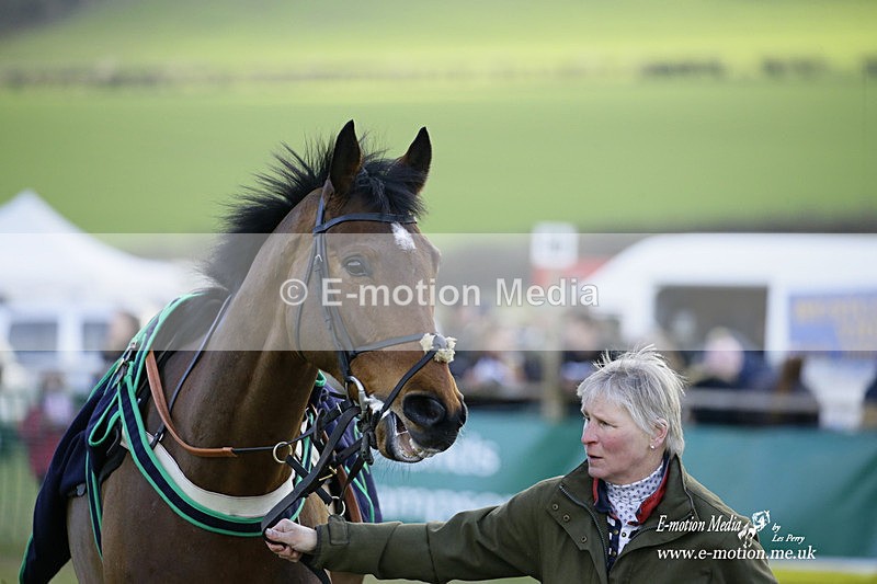 PtP 300122 590 - South Dorset Hunt - Point-to-Point Races 30/01/2022
