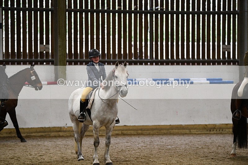 WJ5_8037 - Class 13 Ridden Part Breed