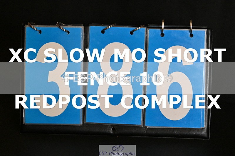 ESP_386 - E-386-Zara.Head