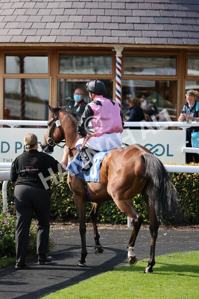 yr18082021r5-25 - Race 5 4.10pm Sky Bet Stakes