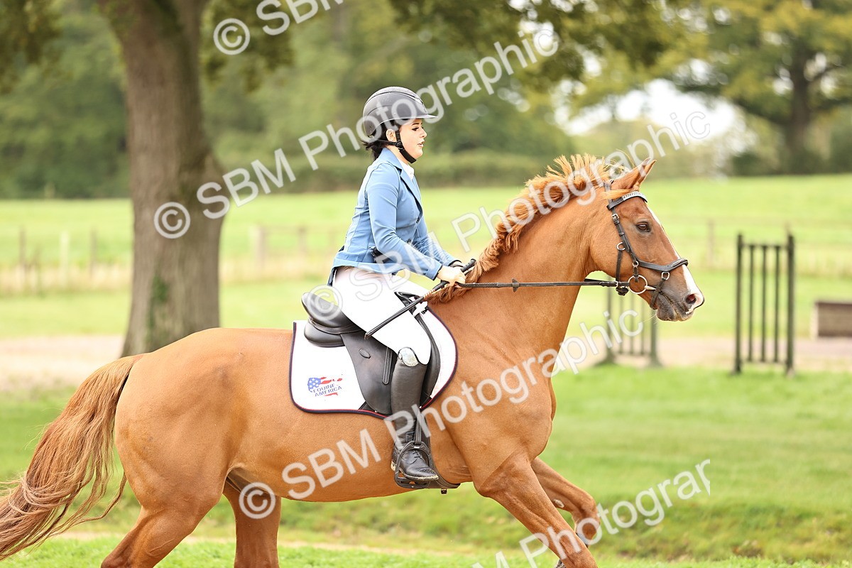 SBM_58519 - J41 - Grand Tour Horse & Pony 95cm