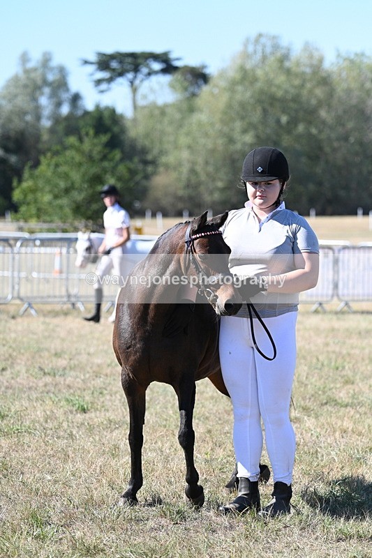 WJ7_1900 - Class 43 Best Six Legs (In hand)