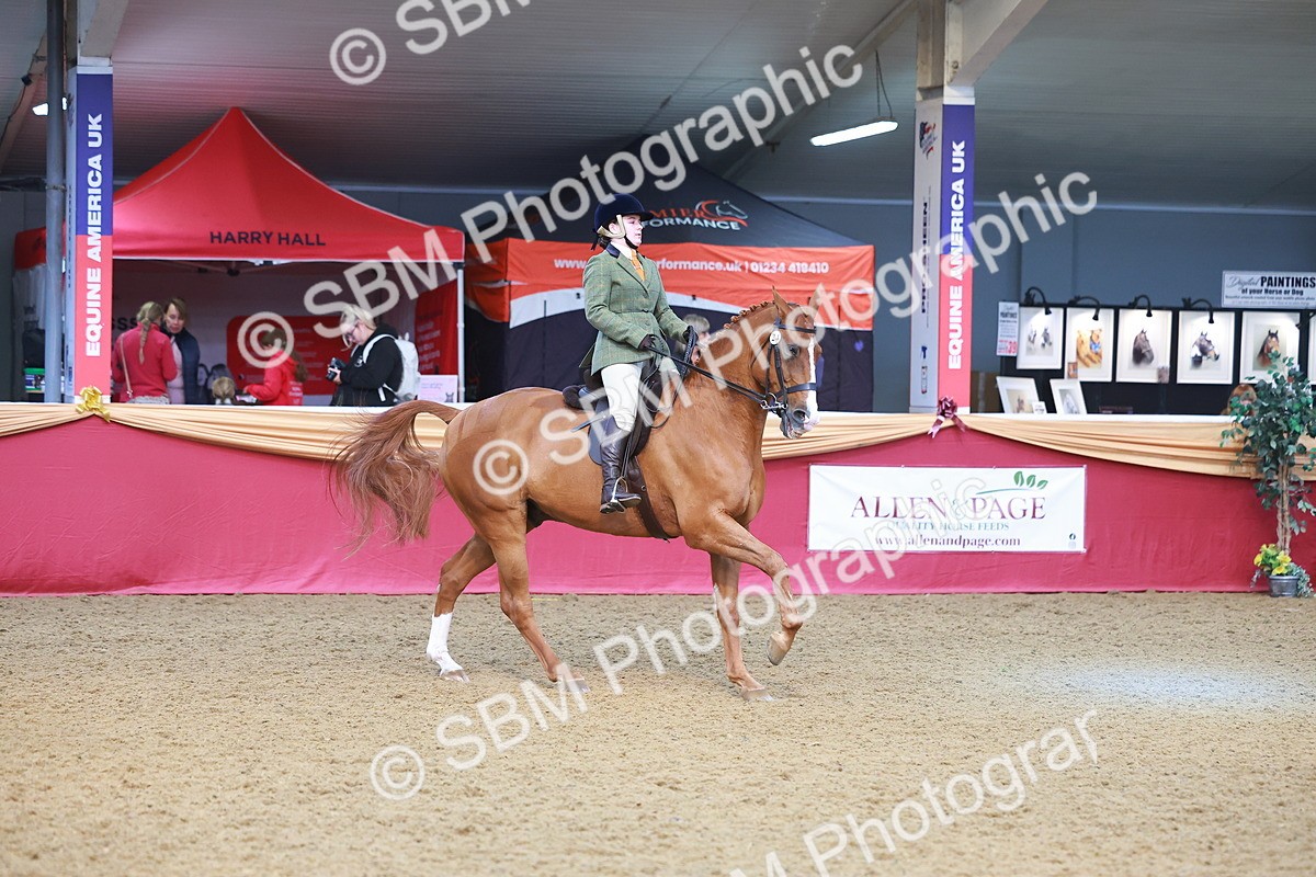 SBM_09698 - Class 102 - HOYS Veteran Qualifier - Ridden Veteran