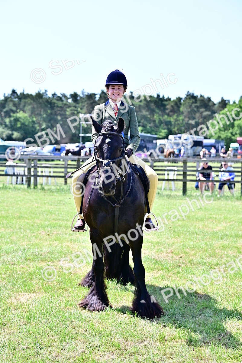 SBM_14042 - Class 95-97 - BSPS LHS Performance Ponies