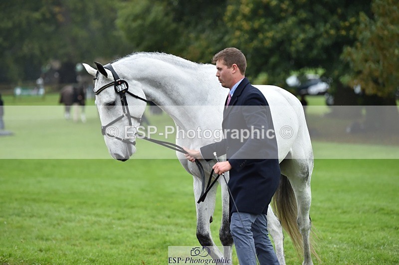 231018-121846-00202 - 027-IE.MR.MCGREGOR-Will.Furlong-TrotUp