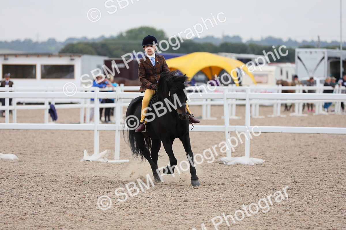 SBM_18147 - Class 316 Best Pony/Rider Combination