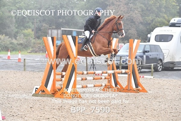 BPP_7590 - CLASS 2 Club/ Unaffiliated 80cms Open