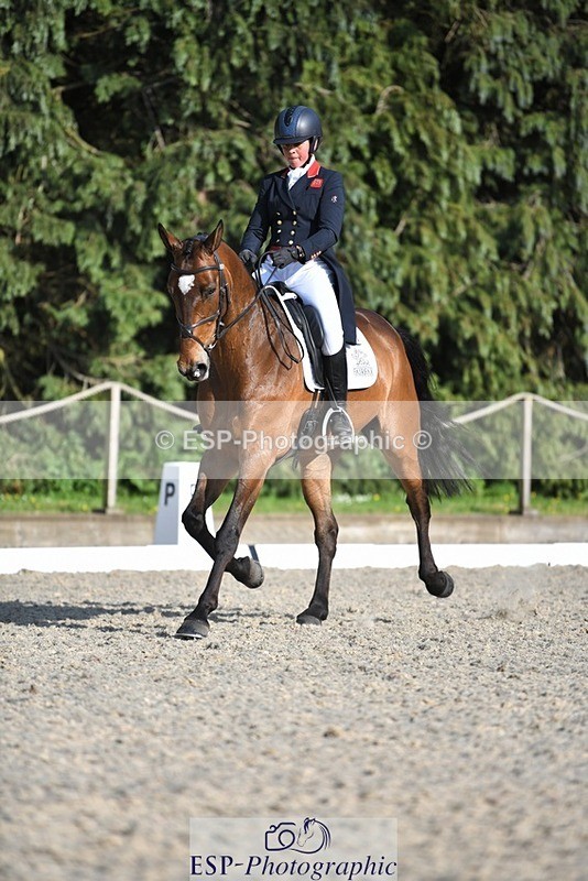 230525-175621-03639 - 132-OGUE_VERDI-Kitty_King-WEDTrotUp+DR